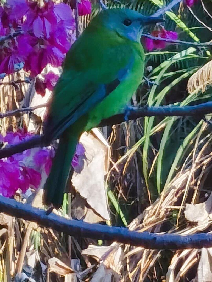 早餐•2020年2月19日