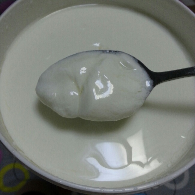自制酸奶