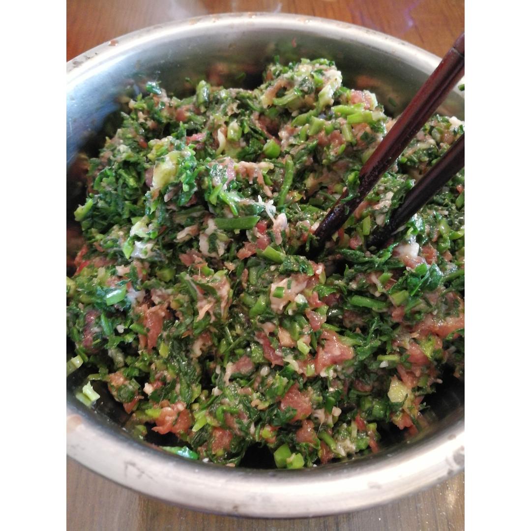 荠菜鲜肉饺子