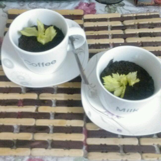 酸奶盆栽/继续延续小清新风/治愈系甜品