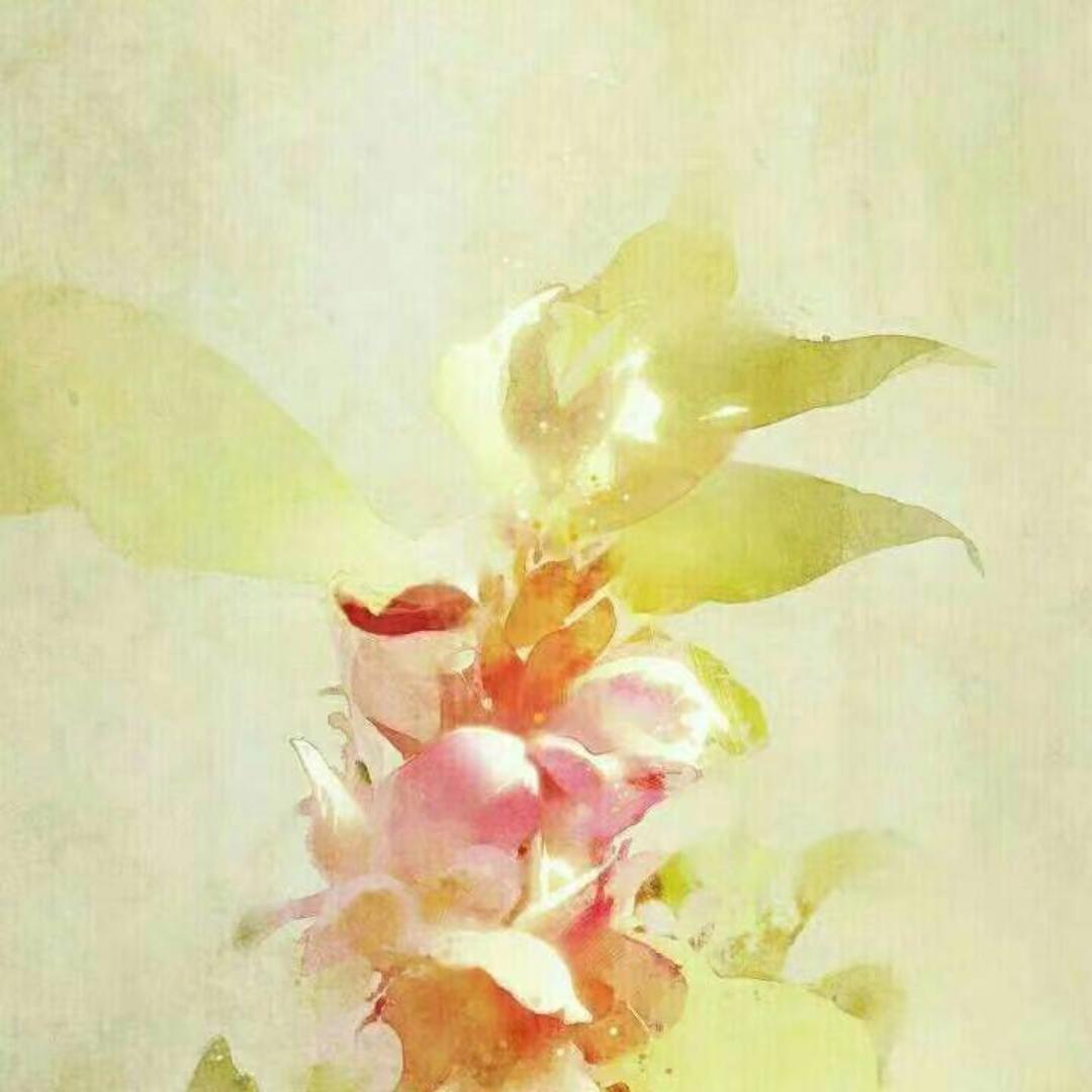 学做饭的源妤末