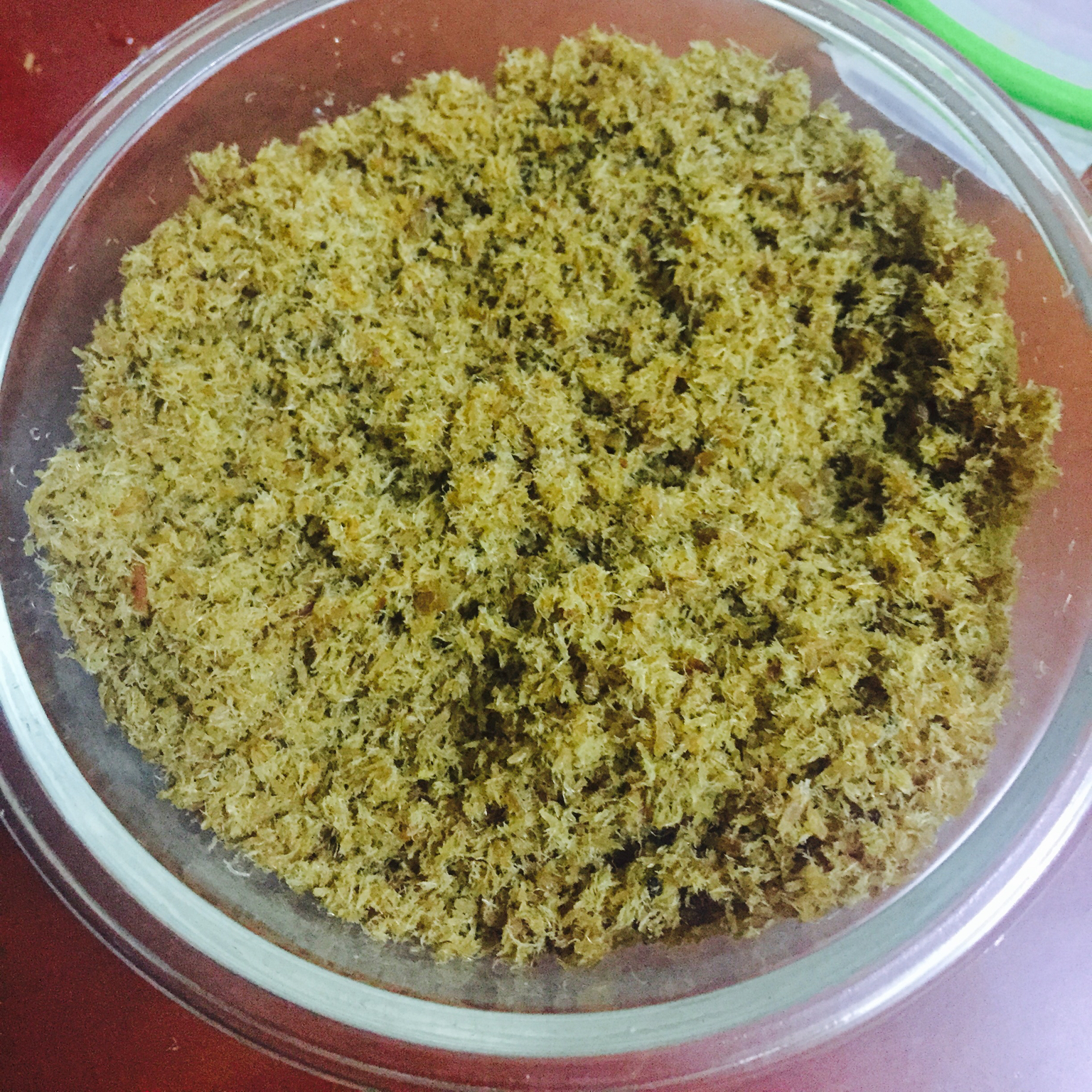 自制肉松