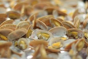 海鲜控——蒜蓉烤花甲的做法 步骤6