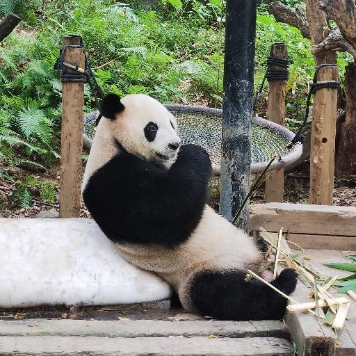 太好吃了哈
