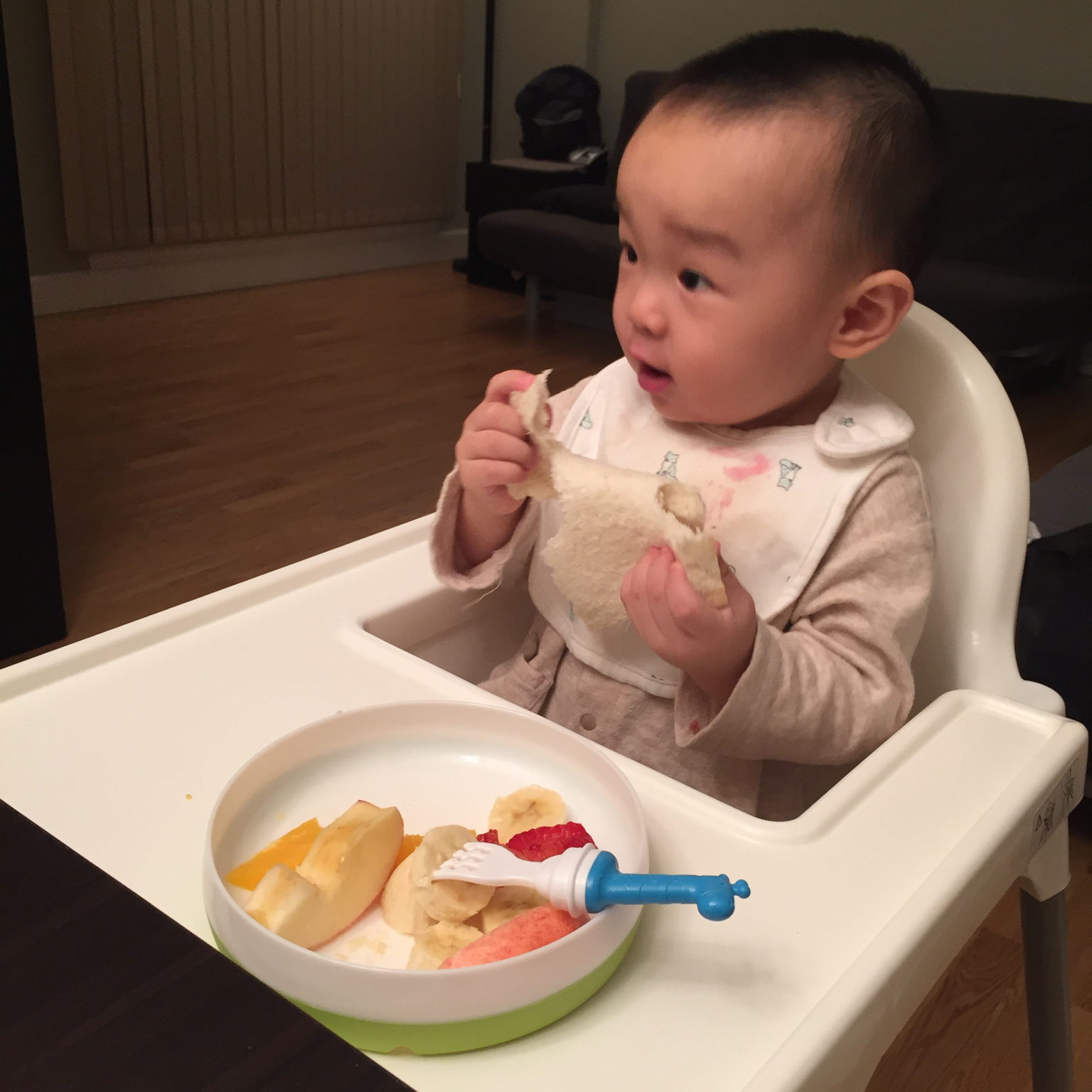 Ollie的辅食