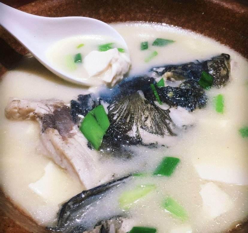 花鲢鱼头粉丝汤