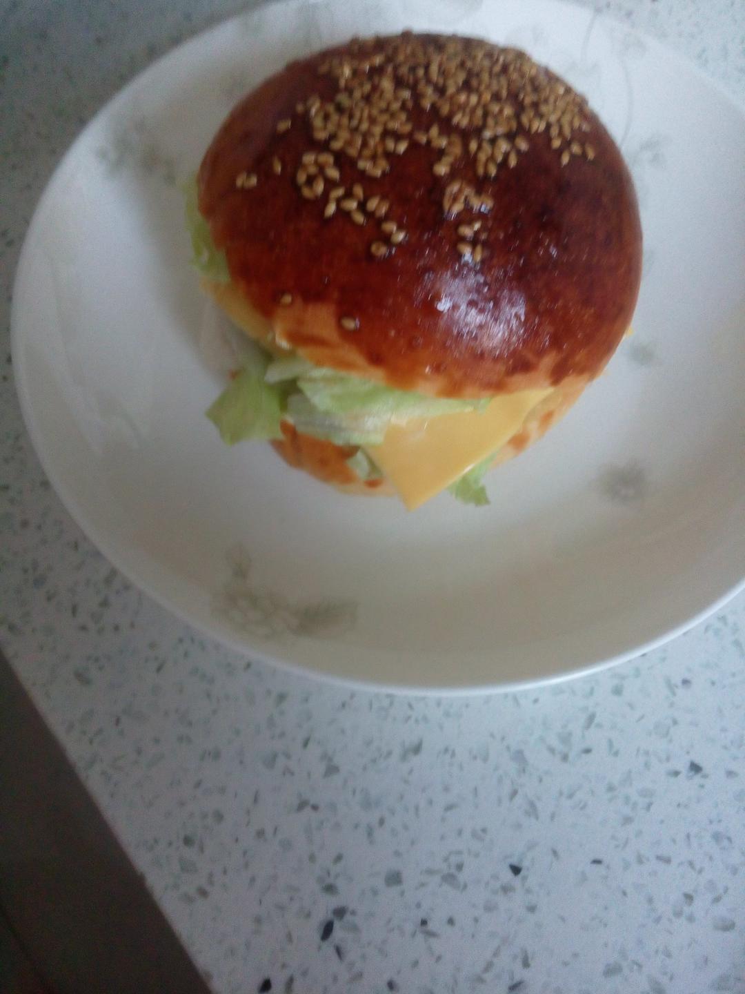 汉堡胚（中种法）