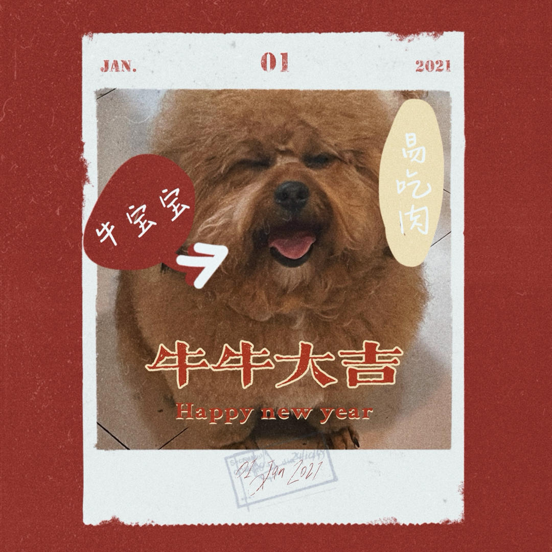 今天的小李厨房