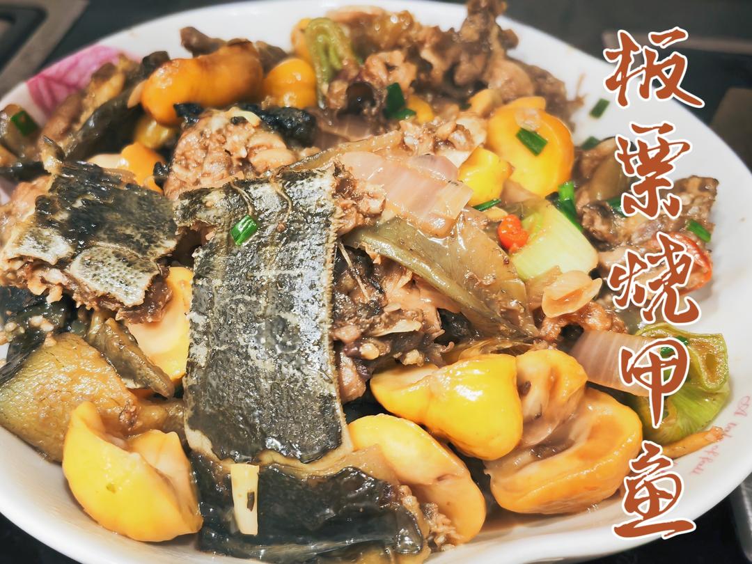 红烧甲鱼