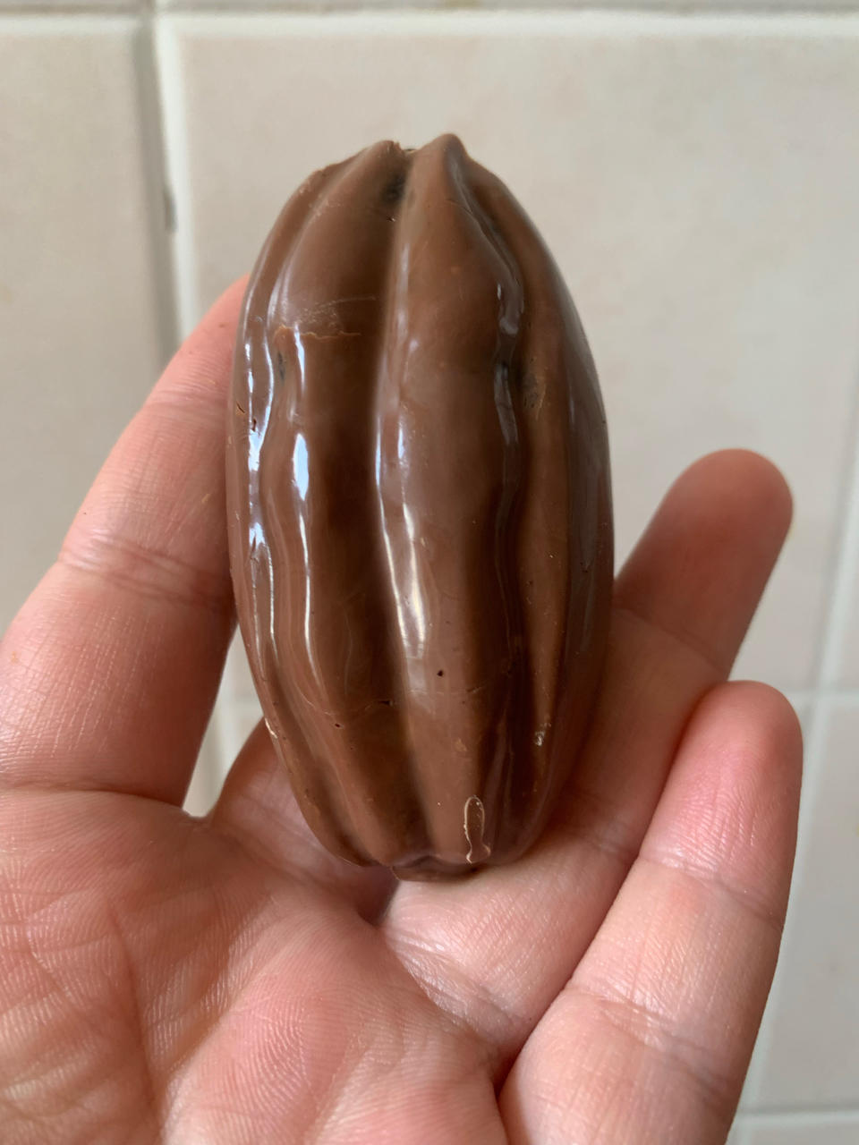 黑贝壳（威士忌黑巧克力玛德琳）