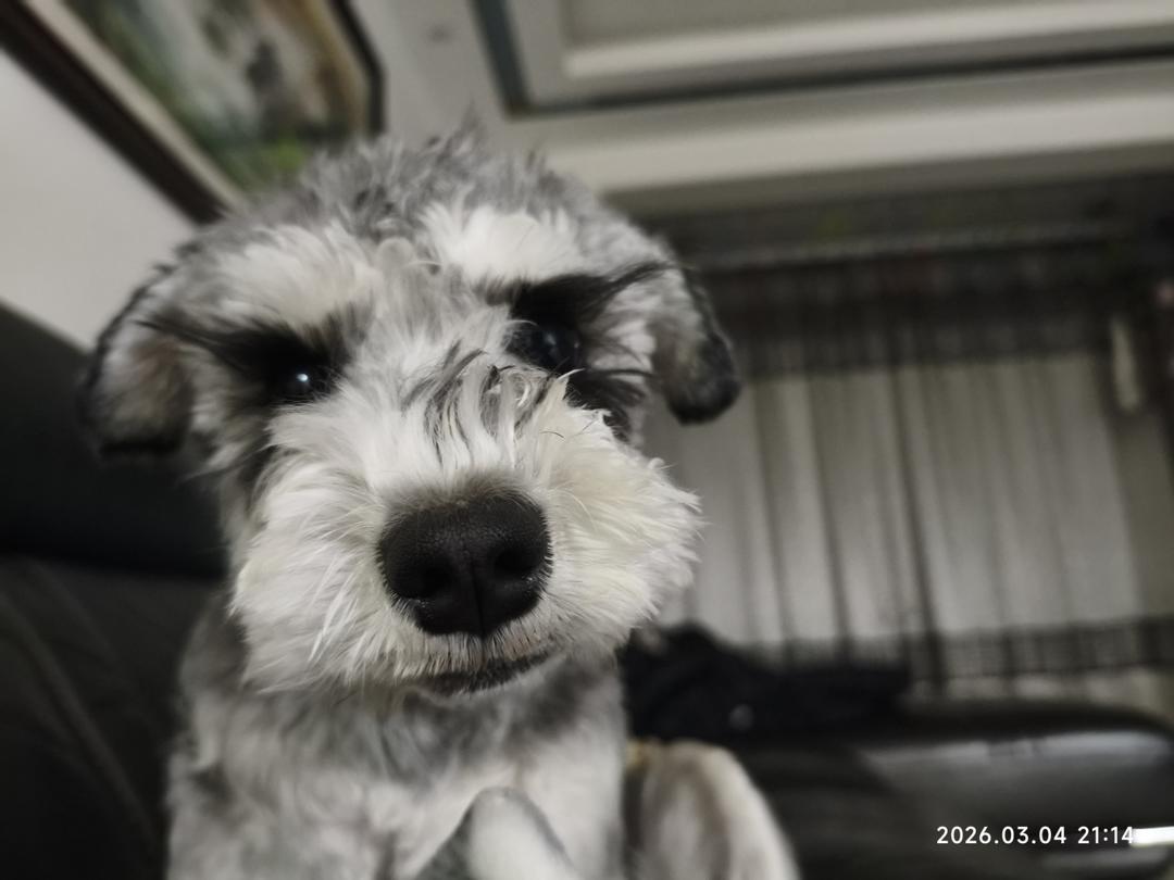 蒜香蜂蜜鸡胸肉