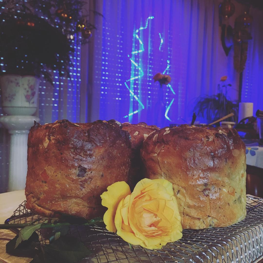 圣诞面包--潘娜托尼Panettone