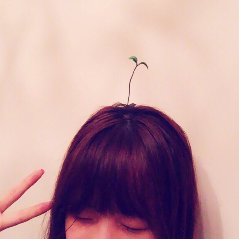 新一年我也要头顶花的柚子