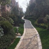 到处晃荡的miss色