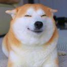 微信用户_OC8E