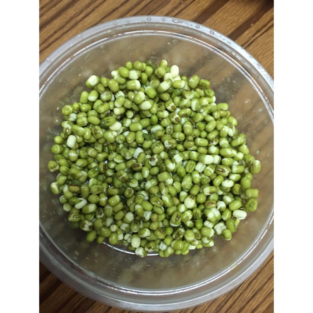 自发绿豆芽/自生豆芽/自制豆芽