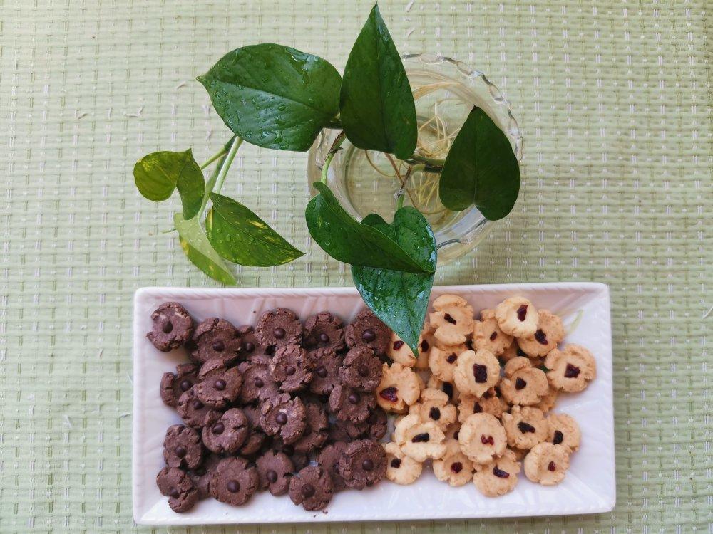 酥到掉渣❗️巧克力玛格丽特饼干🍪好吃到爆❗️