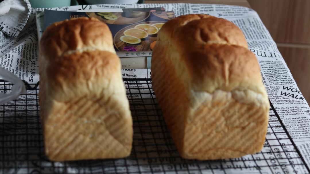 全麦波兰酵头吐司