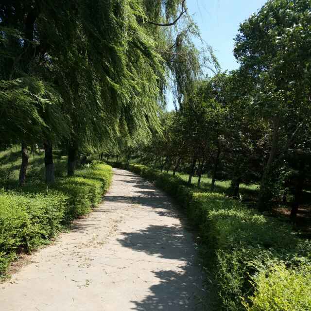 怎么还要起名字