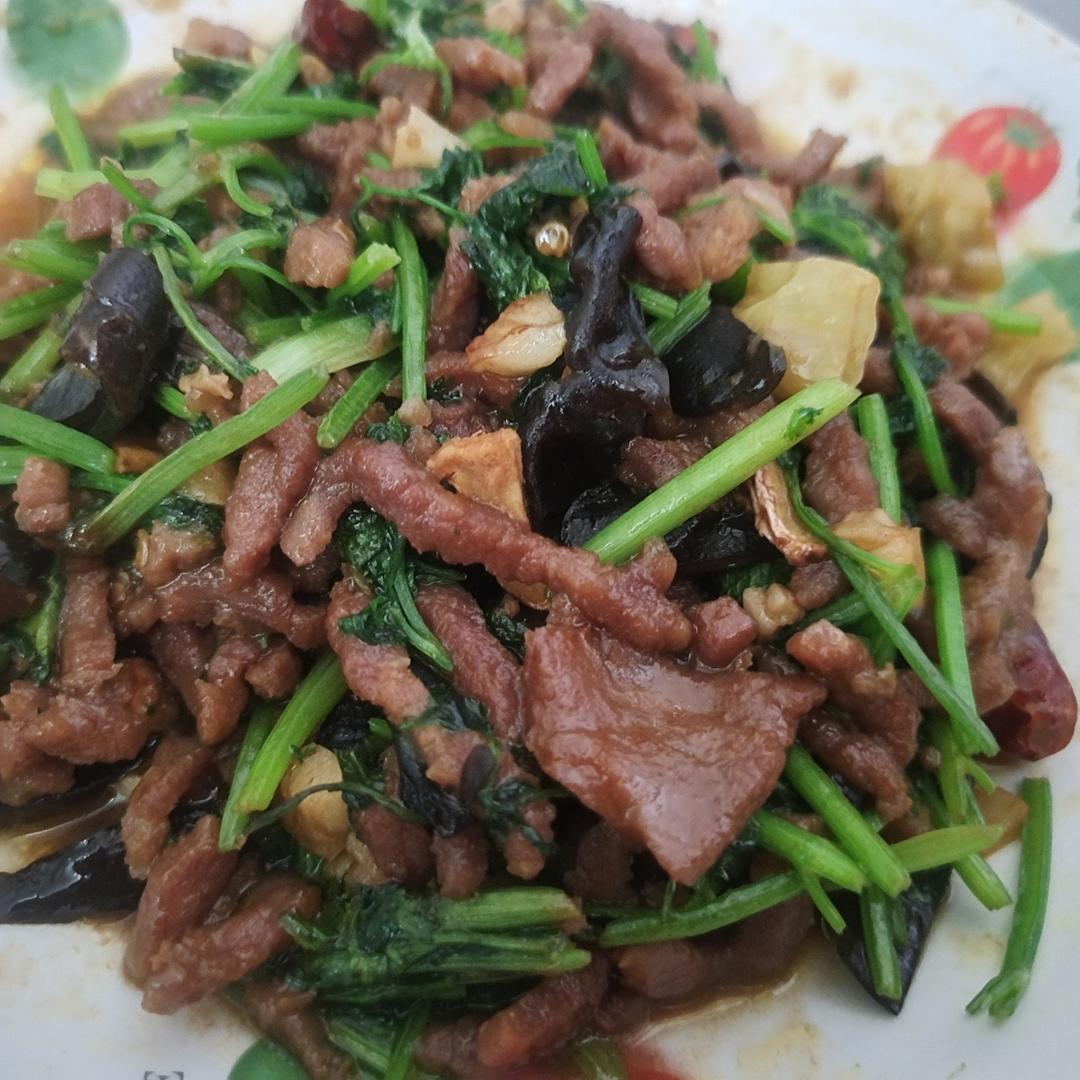 香菜炒牛肉，香辣下饭，爱吃香菜的朋友看过来，拌饭绝了