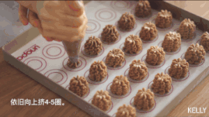 (珍妮曲奇+网红曲奇)咖啡小花配方/烘焙视频饼干篇2的做法 步骤29