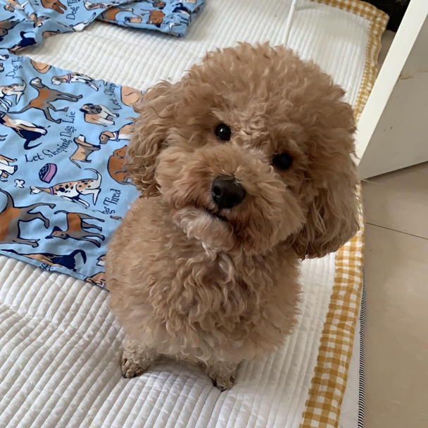 贺小浠