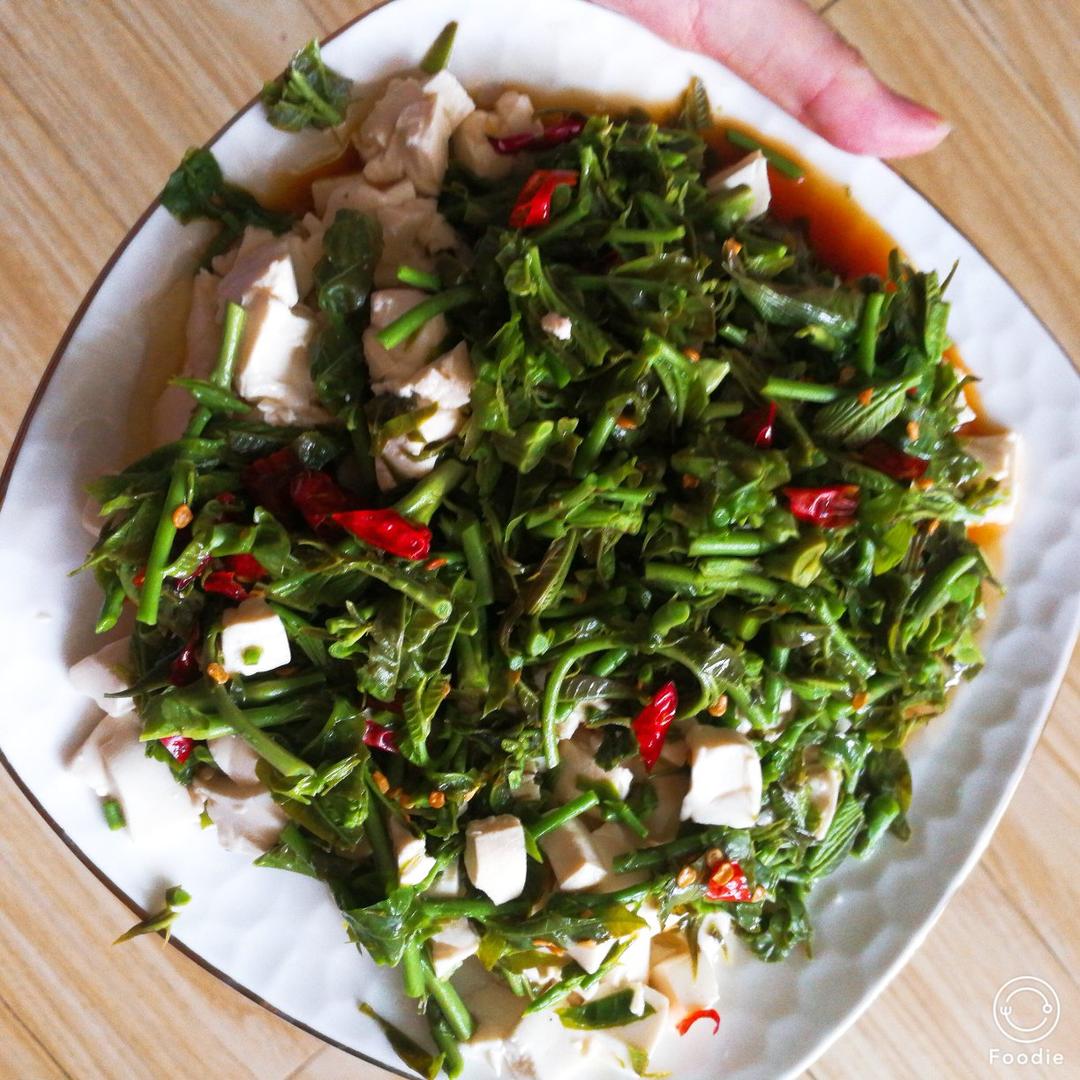 香椿拌豆腐