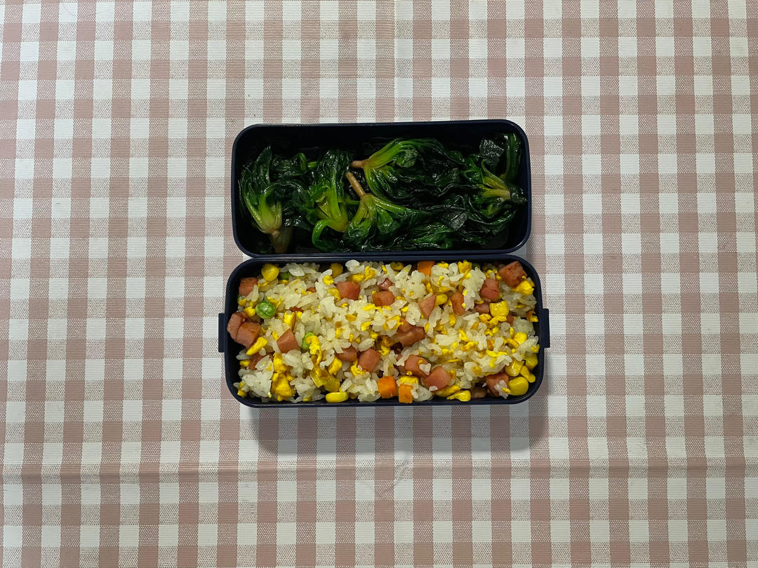 打工人快乐便当（佛系更新）