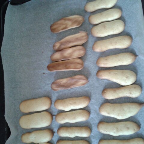 婴儿辅食版蛋奶小饼干（简单快手）