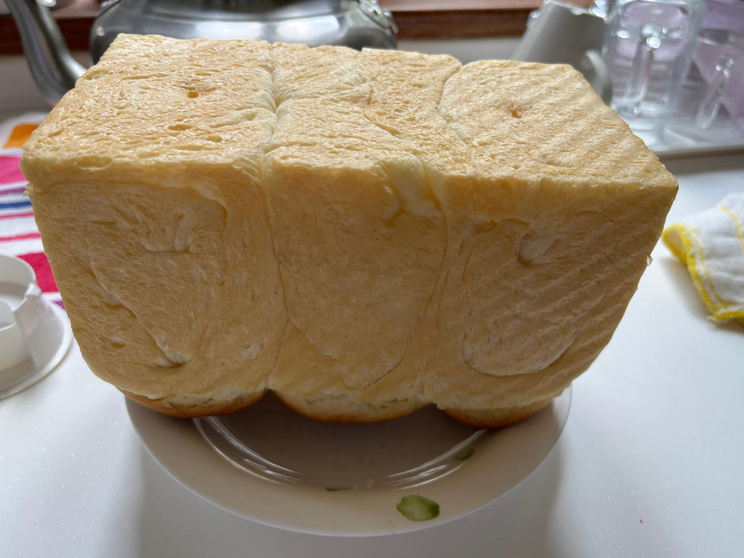 65度汤种+水合法可可餐包