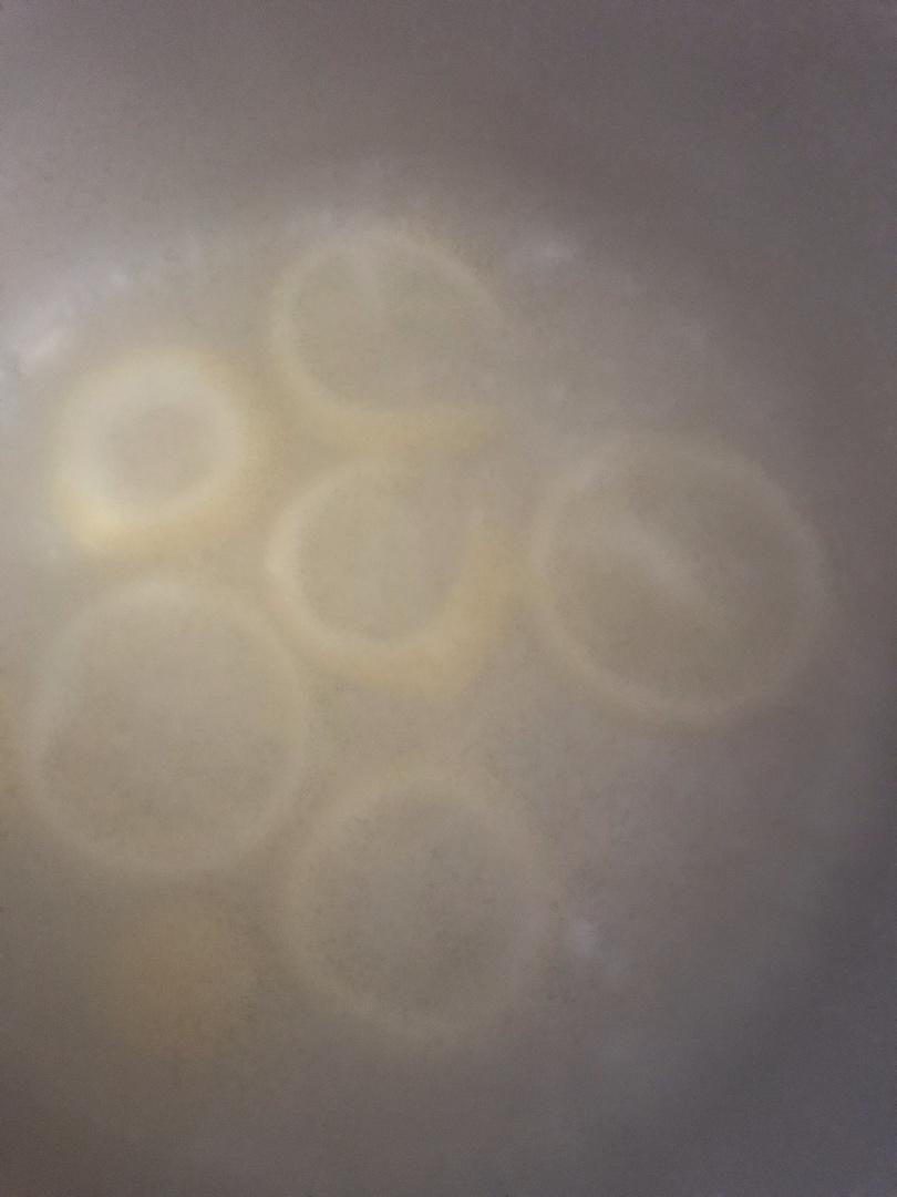 自制柠檬茶，夏天必备！