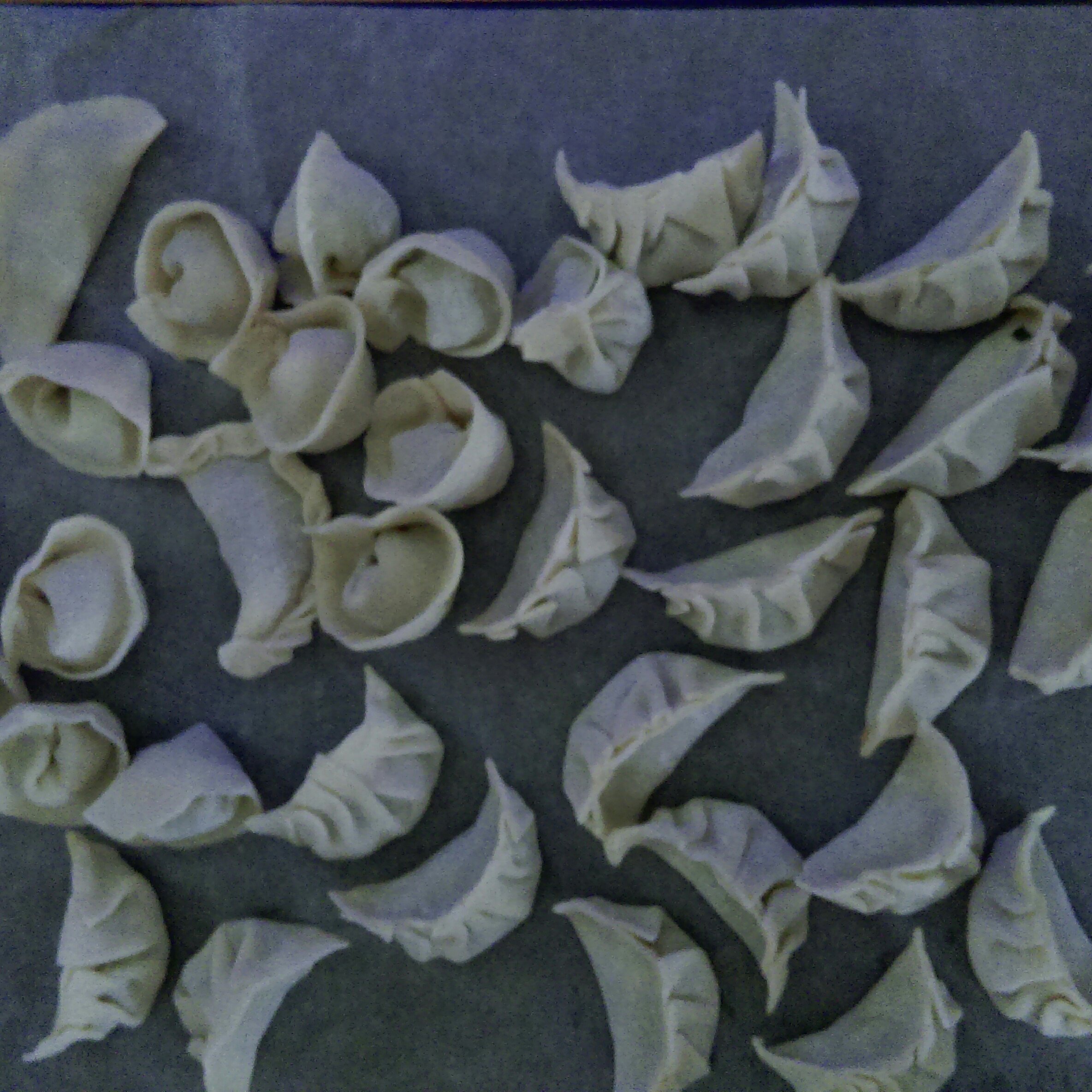香菇猪肉饺子