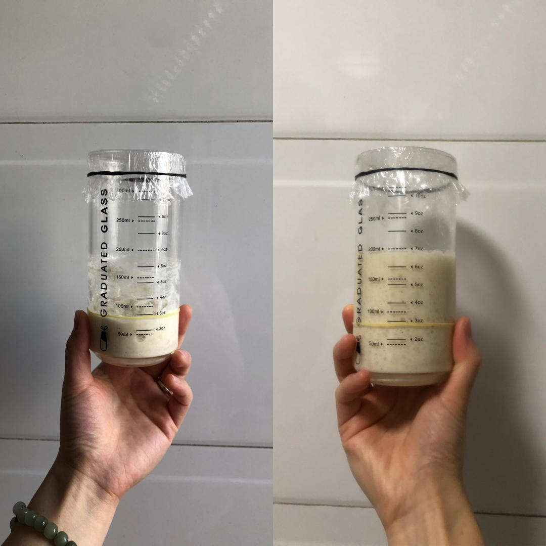 中筋面粉做波兰种欧包