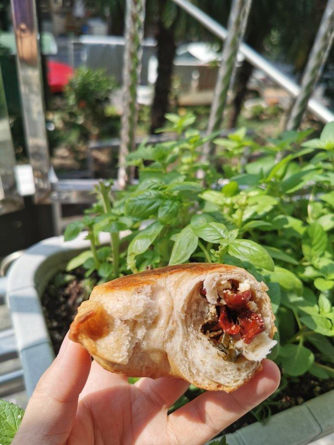 意式风味-《日本专卖店的话题贝果》