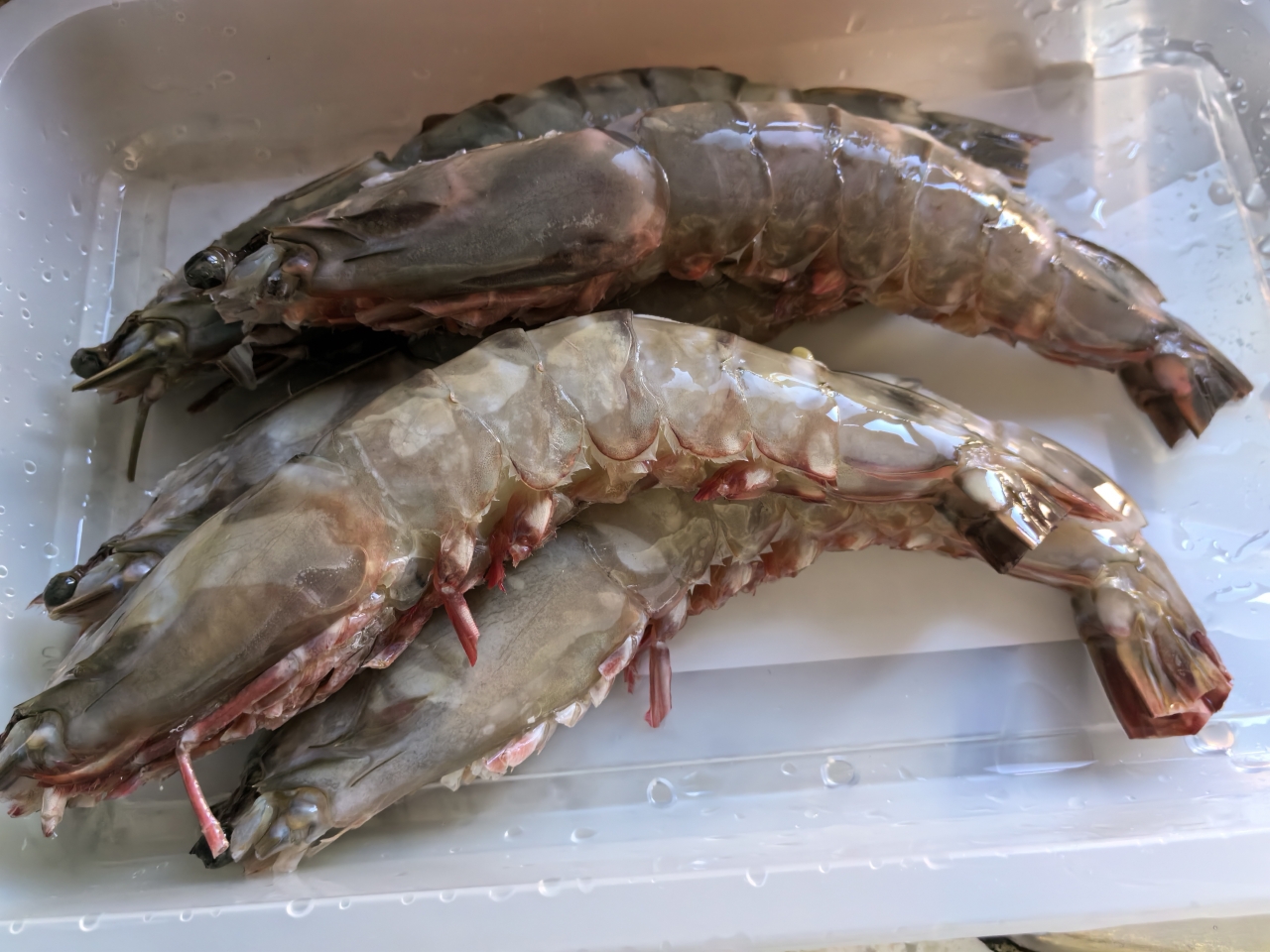 油焖红爪斑节对虾的做法 步骤3