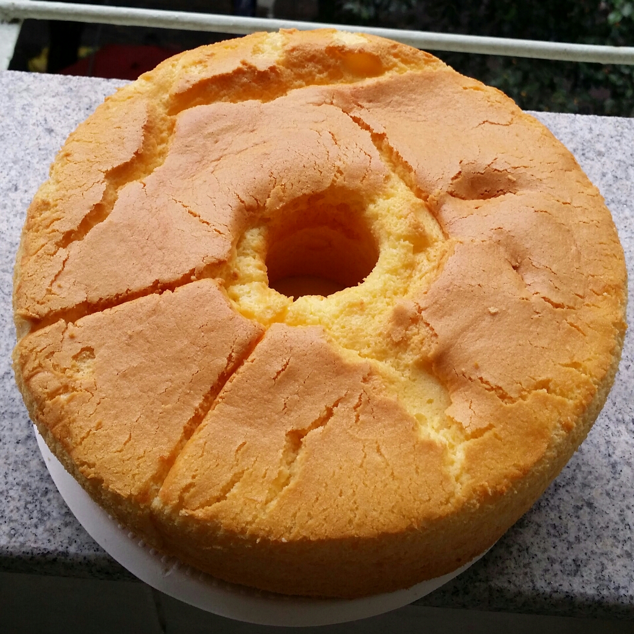 乳酪戚风蛋糕