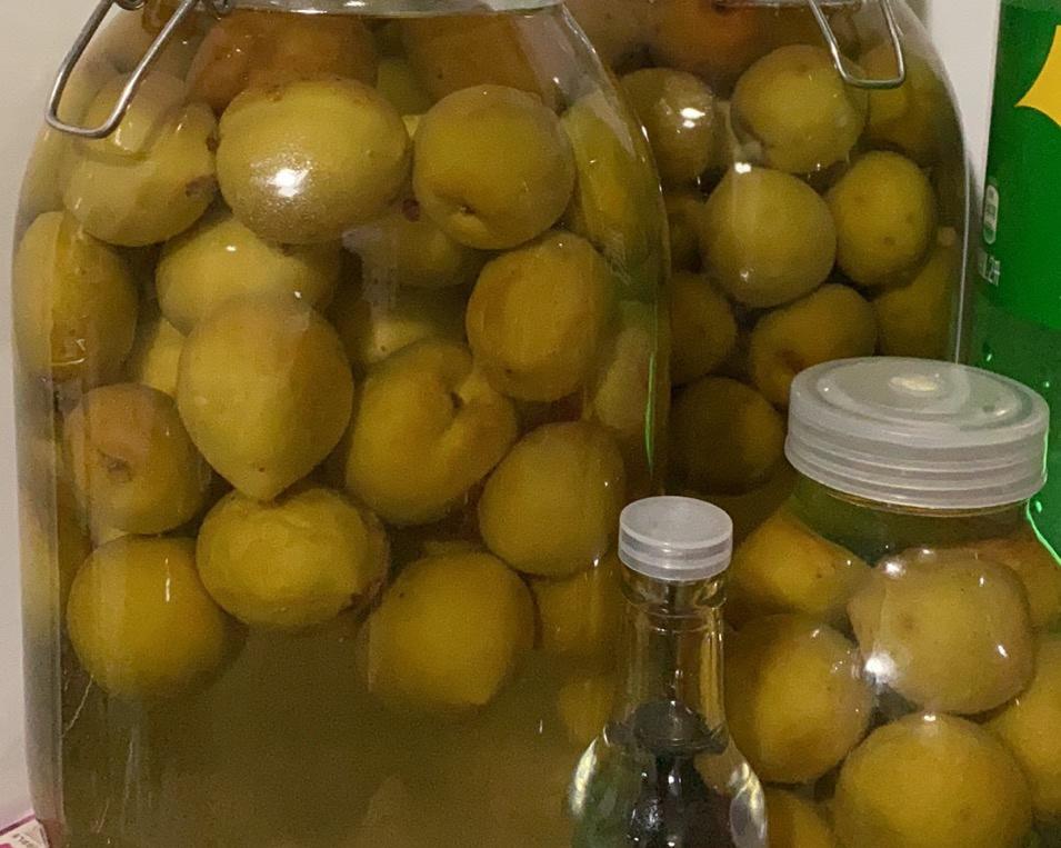 自制青梅酒的做法 步骤9