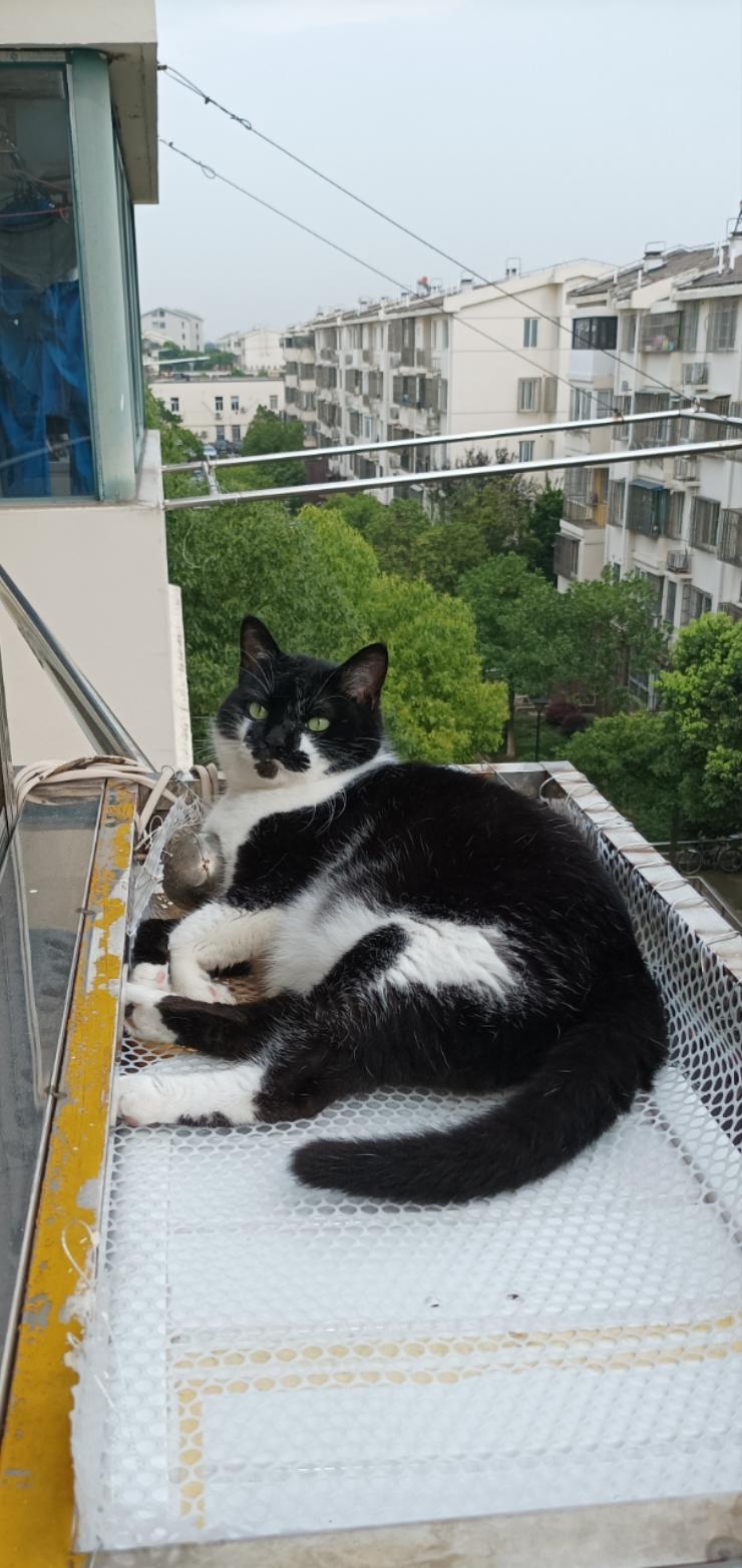 你最哇塞的厨房