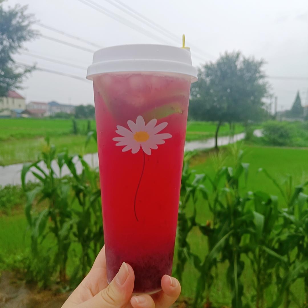 杨梅柠檬茶 大笨象茶饮免费奶茶培训 饮品配方做法制作教程