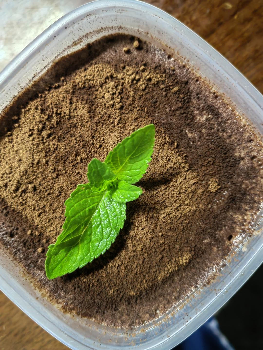 自制淡奶油/打发奶油