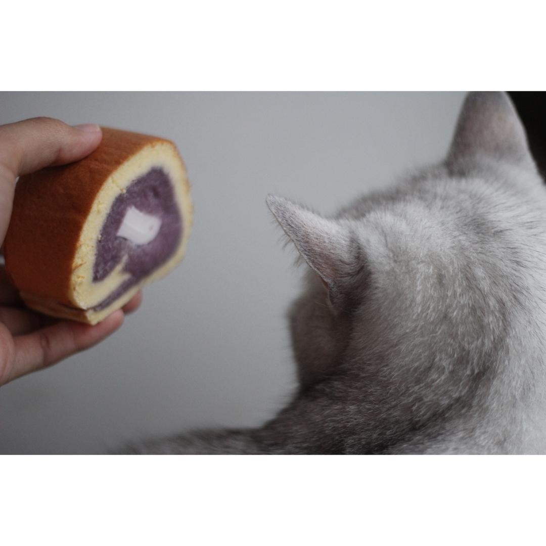 几分甜香芋奶冻卷/卷不裂配方+新鲜香芋奶油+入口即化奶冻/烘焙视频蛋糕篇7「薄卷」