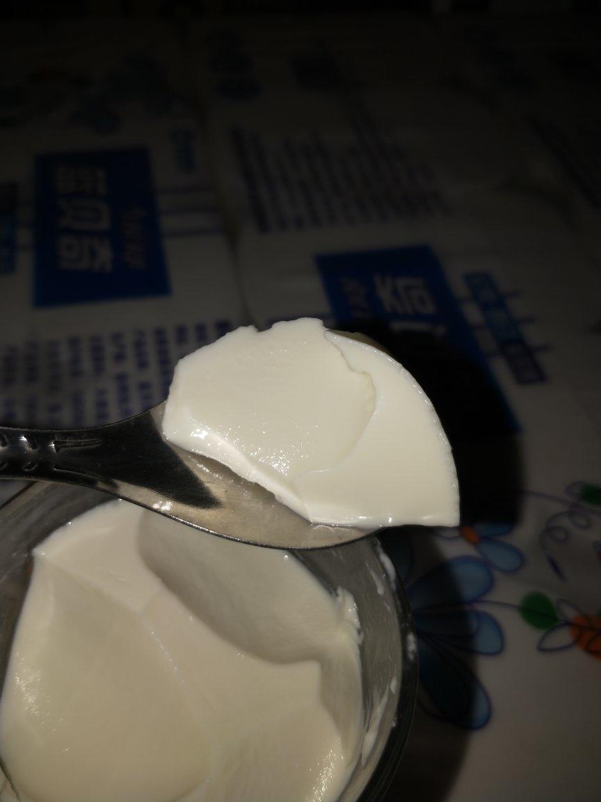 吃豆腐啦！——小嶋老师茉莉奶冻