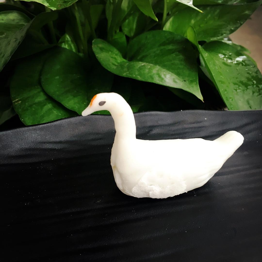 水晶天鹅—舌尖上中国出现的小点