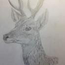 请叫我澜澜姐姐