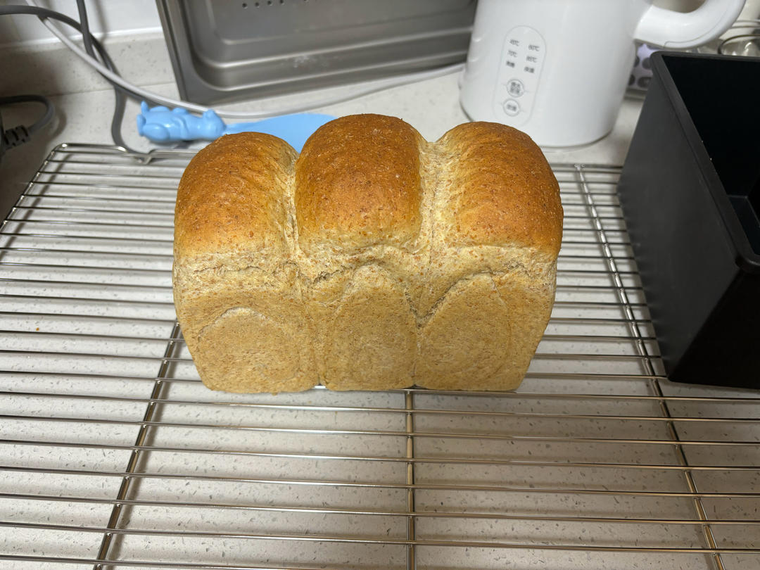 【有奖跟做】70%全麦吐司🍞（烫种➕波兰种）