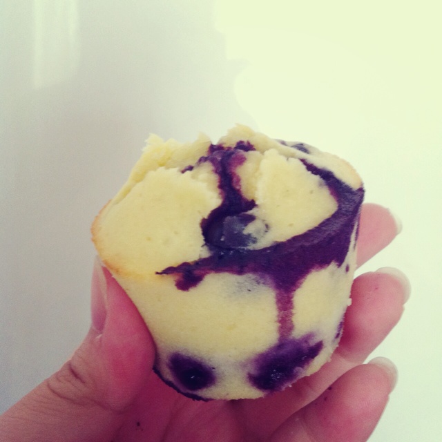 鲜奶油蓝莓纸杯蛋糕 Blueberry Crème  fraîche cupcake
