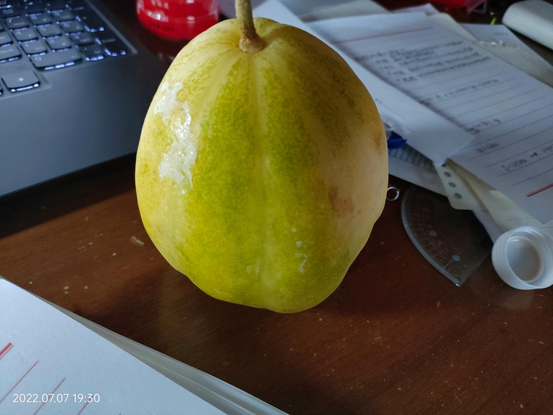冰镇香瓜
