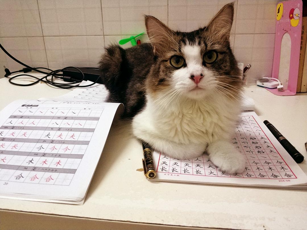 晚餐•2017年9月23日