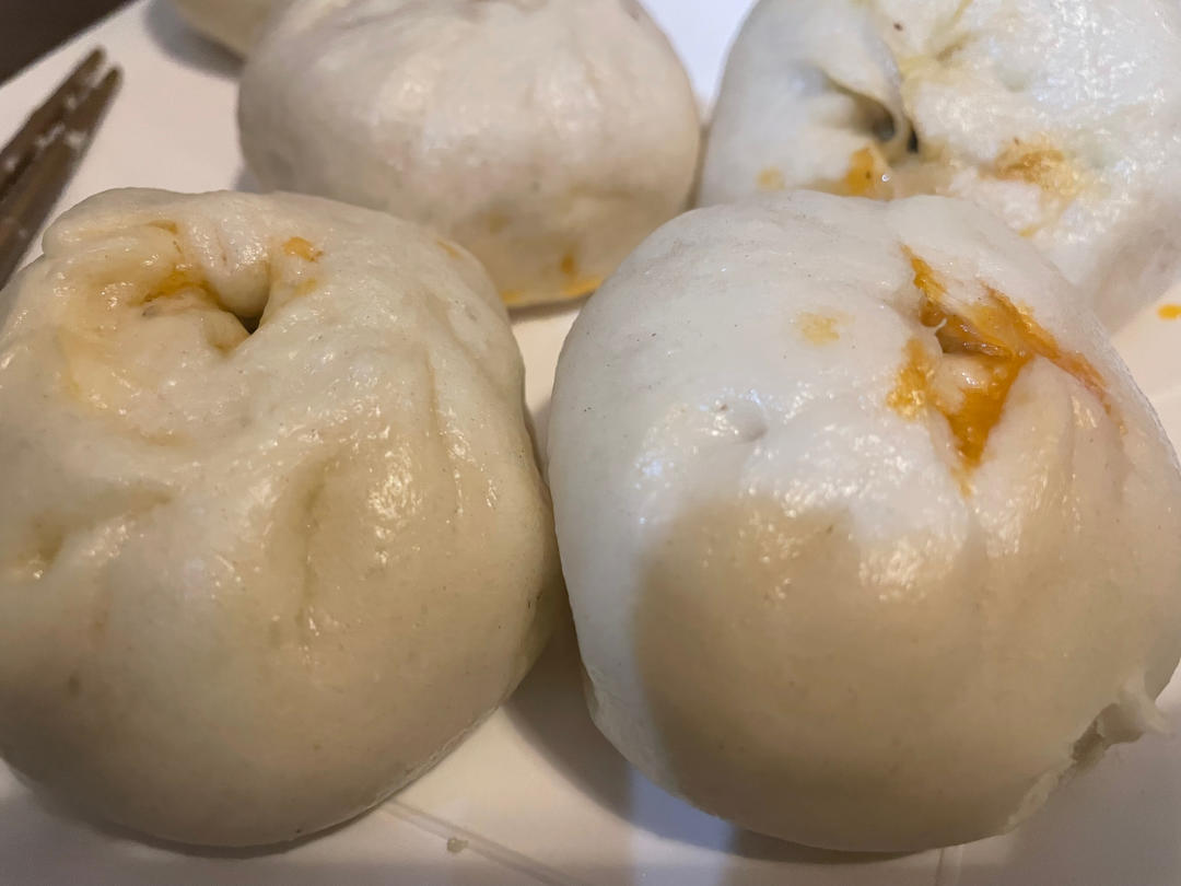 茄子豆角肉末包