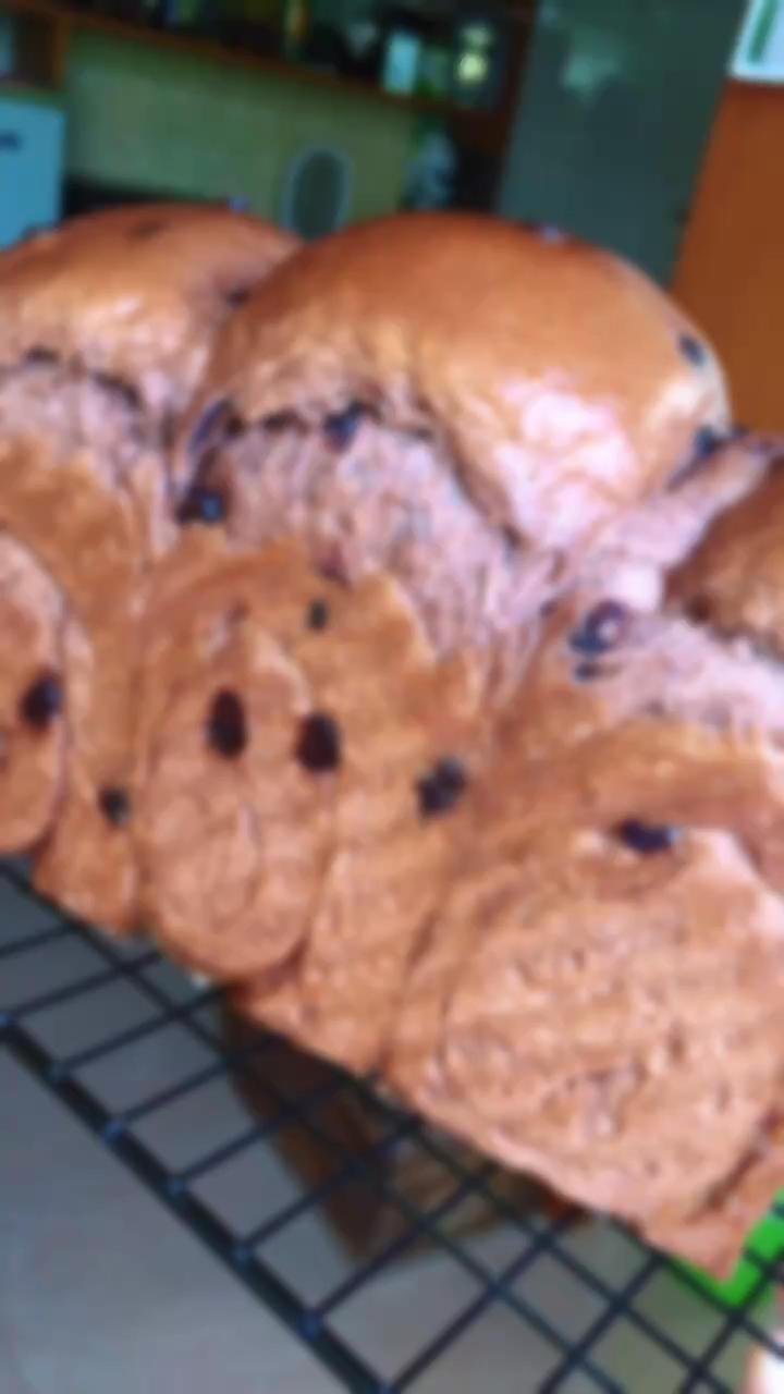 （70%中种法）巧克力蔓越莓吐司